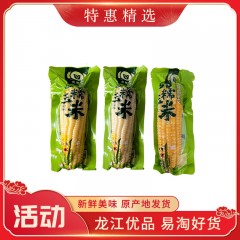 龙江特产 金穗子玉米 10棒 新鲜味美口感好 包邮