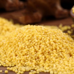 肇源县 古龙特产 古龙贡米 小米1kg/袋 颗粒大小均匀，熬成小米粥黄粘适口，唇齿浓香，香味浓郁。包邮