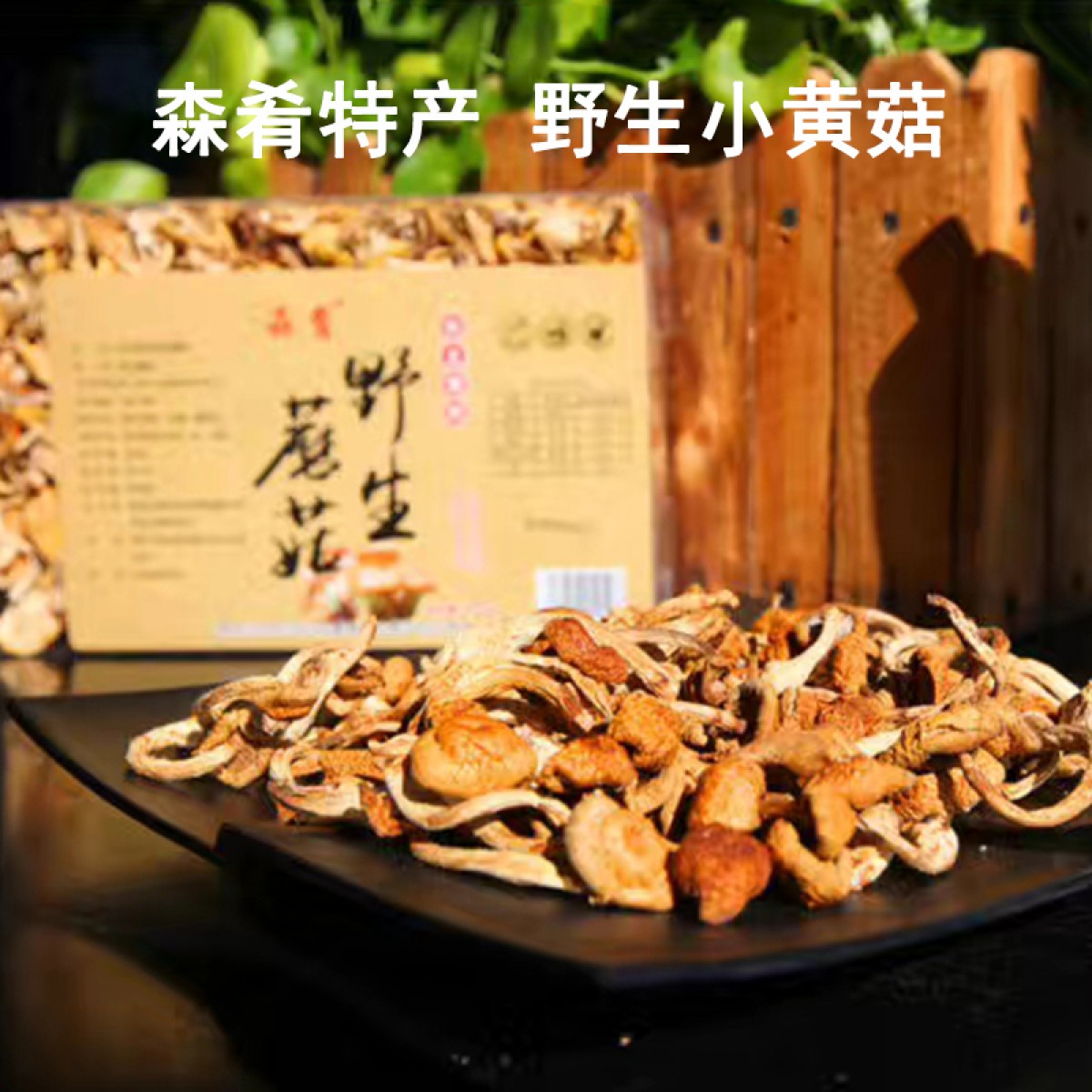 牡丹江 农垦森肴特产 东北寒地蘑菇（小黄蘑） 400g 包邮