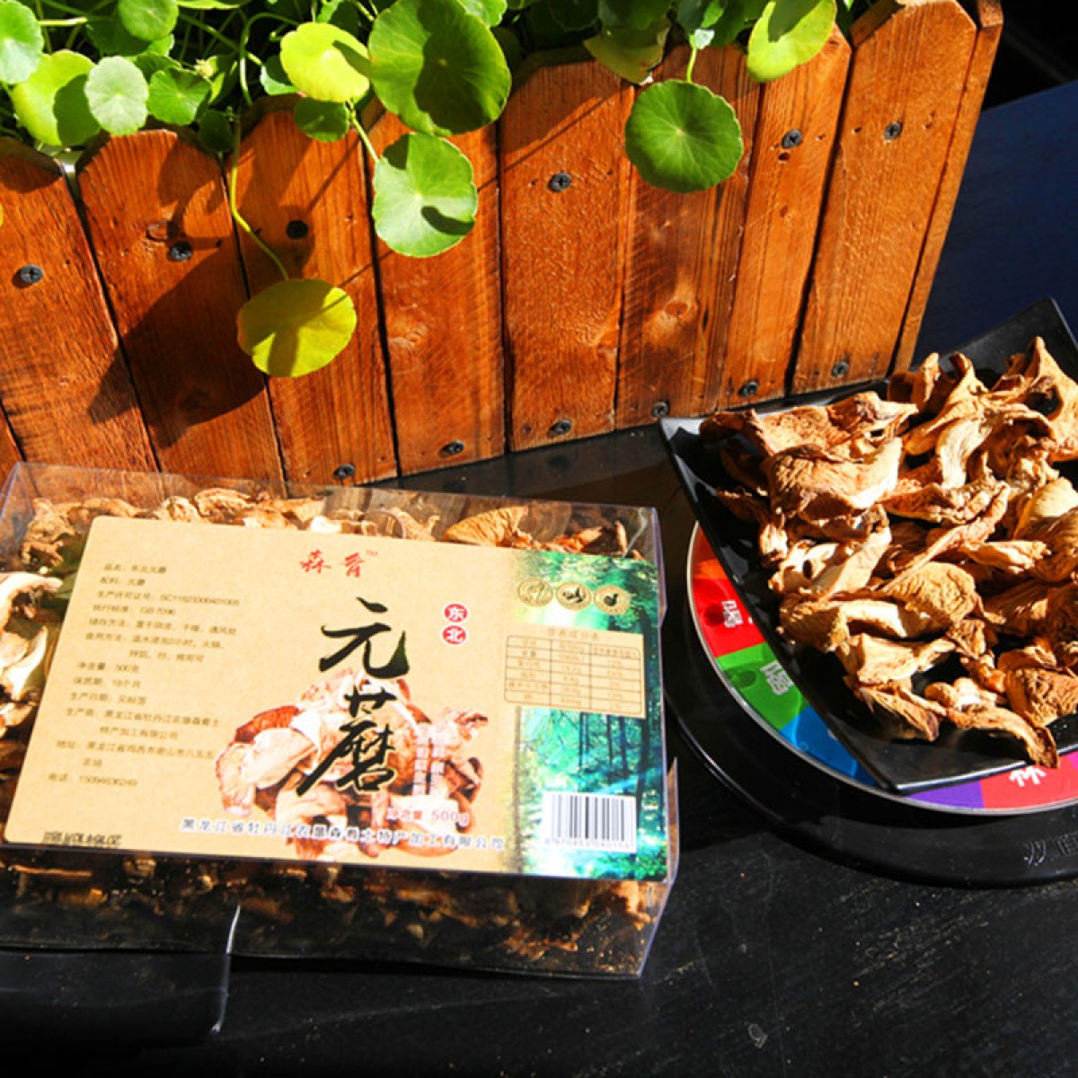牡丹江 农垦森肴特产 东北元蘑 350g/盒 优质精选，自然晾干