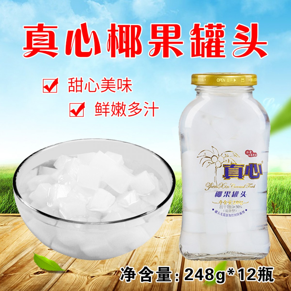 真心 椰果罐头 248g*12瓶 休闲食品零食罐头 包邮