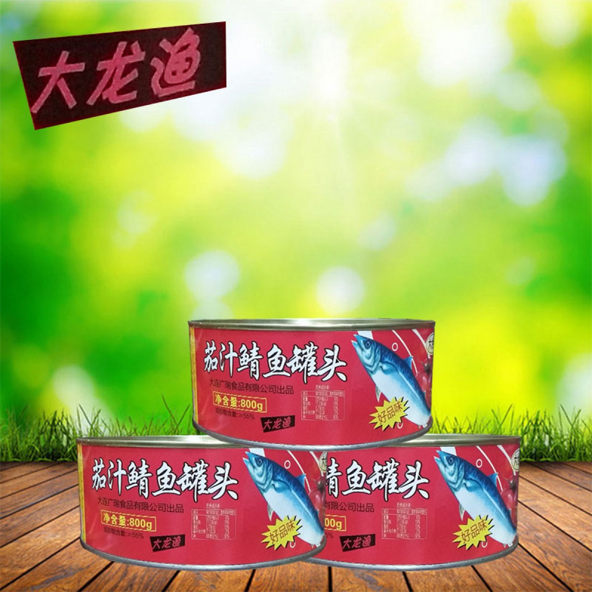 大龙渔 茄汁鲭鱼罐头（大盒）800g*12罐 即食海鲜鱼 黑龙江省内包邮，省外不发货