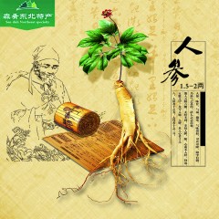 农垦森肴特产 保鲜参（大）1.5-2两 一颗 包邮