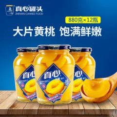 真心 黄桃罐头 880g*12罐 半糖水果罐头 黑龙江省内包邮，省外不发货