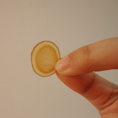 牡丹江 农垦森肴特产 鹿茸半腊片 10g 包邮