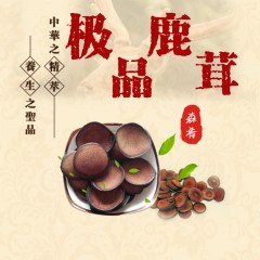 牡丹江 农垦森肴特产极品鹿茸 25-30克/盒 包邮