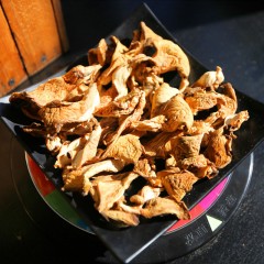 牡丹江 农垦森肴特产 东北元蘑 350g/盒 优质精选，自然晾干