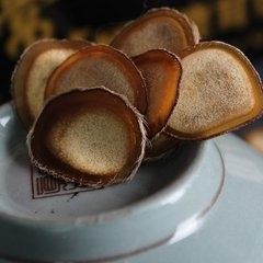 牡丹江 农垦森肴特产 梅花鹿茸 一盒 包邮