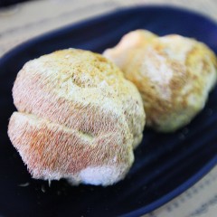 牡丹江 农垦森肴特产 猴头菇 一盒200g 优质精选，自然晾干