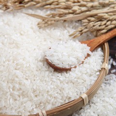 五常特产 沐河沃土稻花香大米 5kg 亮白饱满，颗粒均匀 包邮