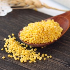 龙江特产 谷稻张 东北小米 500g*4袋 优质五谷杂粮 农家自产小黄米 包邮