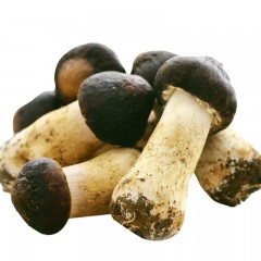龙江特产 赫乡田源赤松茸鲜品 2.5kg/箱 口感好，营养丰富 包邮