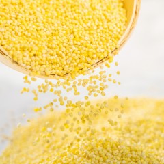 【特惠商品】佳木斯特产 博泽容杂粮小米 500g 米油厚，淳朴香，饱满圆润 包邮