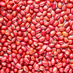 【特惠商品】佳木斯特产 博泽容杂粮红豆 450g 色泽光亮，颗粒圆润，气味清香，软糯可口 包邮