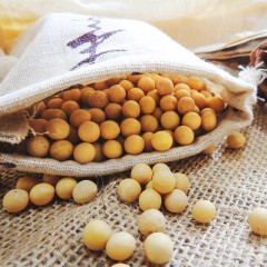 【特惠商品】佳木斯特产 博泽容杂粮黄豆 400g 颜色鲜亮、颗粒饱满、粒大 包邮