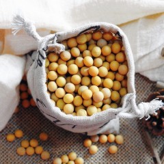 【特惠商品】佳木斯特产 博泽容杂粮黄豆 400g 颜色鲜亮、颗粒饱满、粒大 包邮