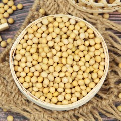 【特惠商品】佳木斯特产 博泽容杂粮黄豆 400g 颜色鲜亮、颗粒饱满、粒大 包邮
