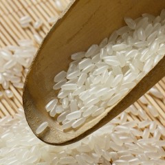 汤原县特产 博谊长粒香米 5kg 汤旺朝鲜族，光亮细腻，色泽晶莹剔透 包邮