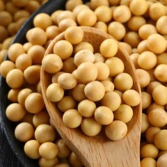 【特惠商品】克东县特产 兢堃永和有机酱豆 2kg 颗粒大小均匀，圆润饱满 包邮