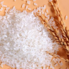 五常特产 五米常香 福道有机稻花香大米 5kg 米粒饱满，大小均匀，晶亮油光 包邮