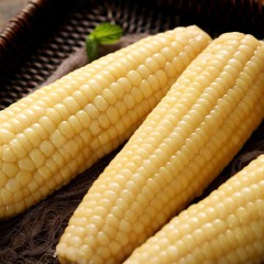 龙江特产 同江绿农甜糯玉米 10穗/箱 2色可选，双层保鲜营养主食谷类杂粮 包邮[批发]