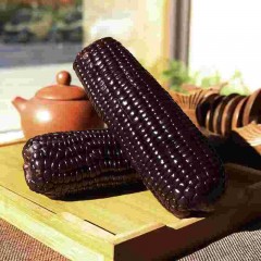 龙江特产 同江绿农甜糯玉米 10穗/箱 2色可选，双层保鲜营养主食谷类杂粮 包邮[批发]