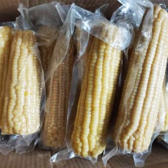 龙江特产 同江绿农甜糯玉米 10穗/箱 2色可选，双层保鲜营养主食谷类杂粮 包邮[批发]