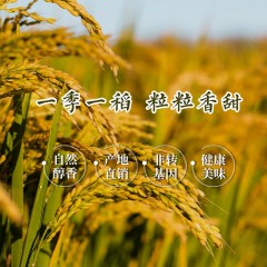 【特惠商品】虎林市特产 磨谷道蟹稻米 1斤*10块/箱