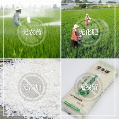 【特惠商品】虎林市特产 磨谷道蟹稻米礼盒 10斤