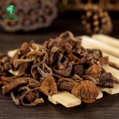【特惠商品】伊春特产 北货郎榛蘑 250g 山珍野味，绿色健康 包邮