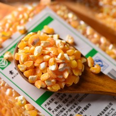 龙江特产 霁朗玉米馇 500g*2袋 口感粘糯，颗粒均匀 包邮