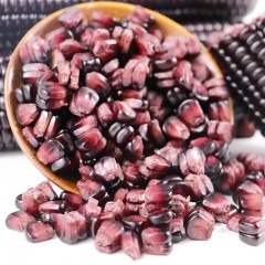 【特惠商品】五常特产 连二红旗黑玉米 约2kg 颗粒饱满，香糯不甜 包邮