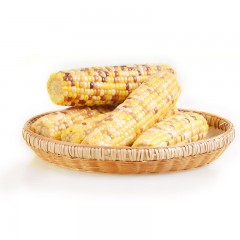 【特惠商品】五常特产 连二红旗花玉米 2.5kg 颗粒饱满、口感甜糯 包邮