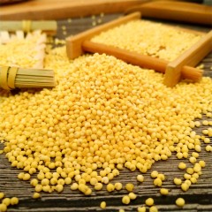 【特惠商品】大庆特产 敖菘小米 4kg 稠润香椿，米油浓厚 包邮
