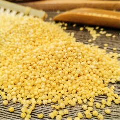 【特惠商品】大庆特产 敖菘贡米 1kg 大小均匀,无杂质零添加 包邮
