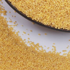 【特惠商品】大庆特产 敖菘贡米 1kg 大小均匀,无杂质零添加 包邮