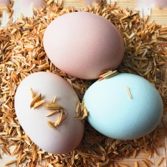 【特惠商品】黑河特产 纪仔芦花鸡蛋 30/盒 味略甘甜，无添加 包邮