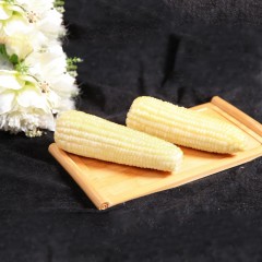 青冈 龙江特产 鞠大娘甜糯玉米 14穂/箱 颗粒饱满，色泽光亮，口感粘糯 包邮
