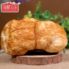 【特惠商品】海林市特产 海麟玉品干猴头菇 500克 山珍菌味，自然天成 包邮
