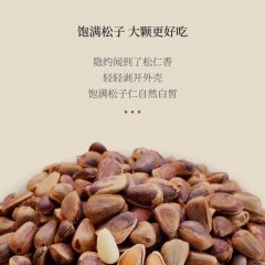 【特惠商品】鸡西特产 植仁膳用开口松子中个 500g 零食坚果特产炒货 包邮