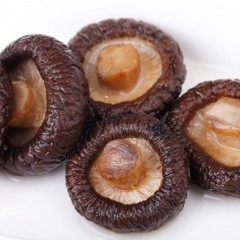 【特惠商品】伊春特产 寒上雪香菇 250g/盒 肉质肥厚细嫩、鲜香美味 包邮