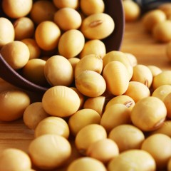 【特惠商品】克东县特产 兢堃永和有机豆浆豆 400g*10盒/提 颗粒大小均匀，圆润饱满 包邮