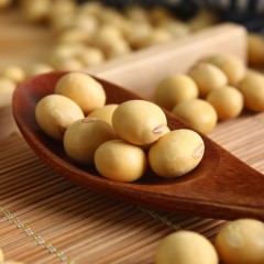 【特惠商品】克东县特产 兢堃永和有机豆浆豆 2kg 颗粒大小均匀，圆润饱满 包邮
