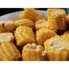 【特惠商品】大庆特产 打点屯 鲜食玉米 12穗/箱 颗颗饱满，自然甜糯 包邮