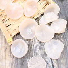 龙江特产 巴朵玉木耳礼盒 1000克  口感好 营养丰富 包邮