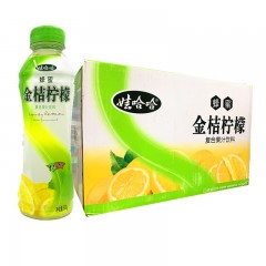 娃哈哈金桔柠檬 500ml*15瓶/件 果汁饮品喜宴聚餐 仅限绥滨售卖，送货上门