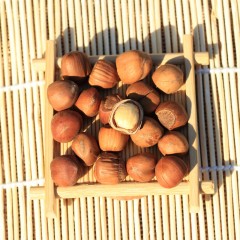 【特惠商品】牡丹江特产 霖陽珍奇榛子 500克 壳薄肉厚，入口酥脆 包邮