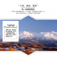 【特惠商品】伊春特产 佰年松宝 红松果仁 110g 低温萃取，富含营养 包邮