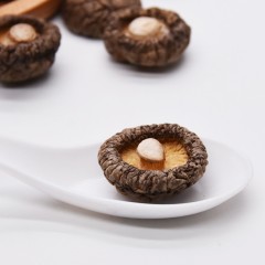 【特惠商品】绥化特产 香菇 250g/袋 精挑细选，肉质饱满 包邮