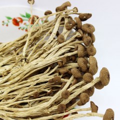 【特惠商品】绥化特产 茶树菇 250g/袋 口感鲜嫩 包邮